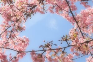 金券ショップで買う金券は入学・進級・卒業祝いにピッタリ